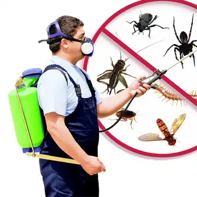 pest control Harvey
